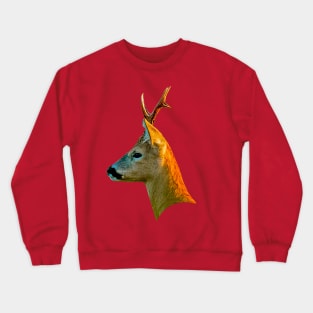 Roebuck Crewneck Sweatshirt